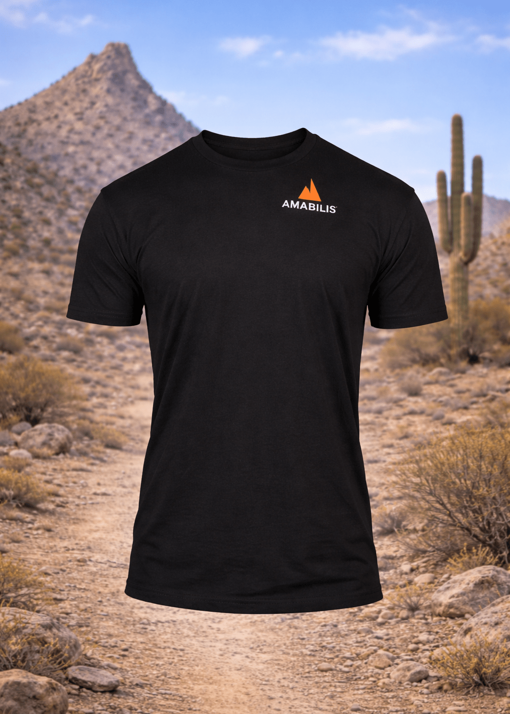 Iron Line Rock Tee